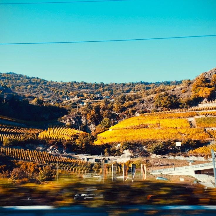 Kids playground area in Italy